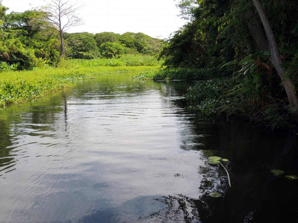 Foto: Isletas de Granada - Granada, Nicaragua