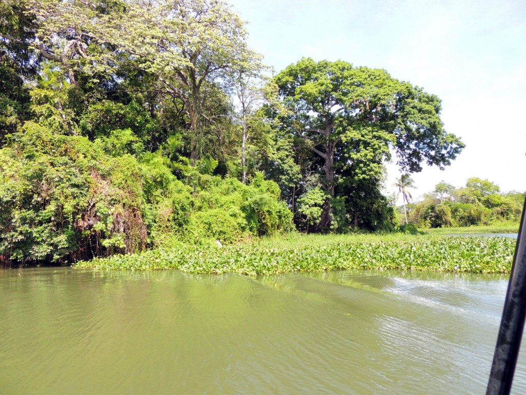 Foto: Isletas de Granada - Granada, Nicaragua