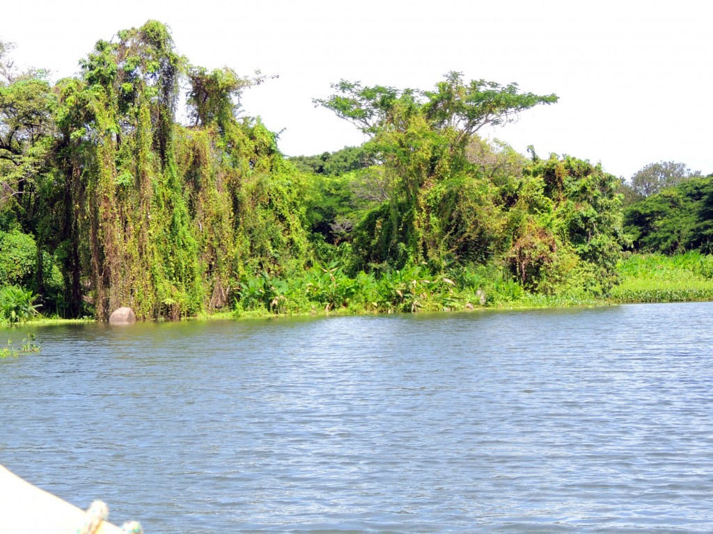 Foto: Isletas de Granada - Granada, Nicaragua