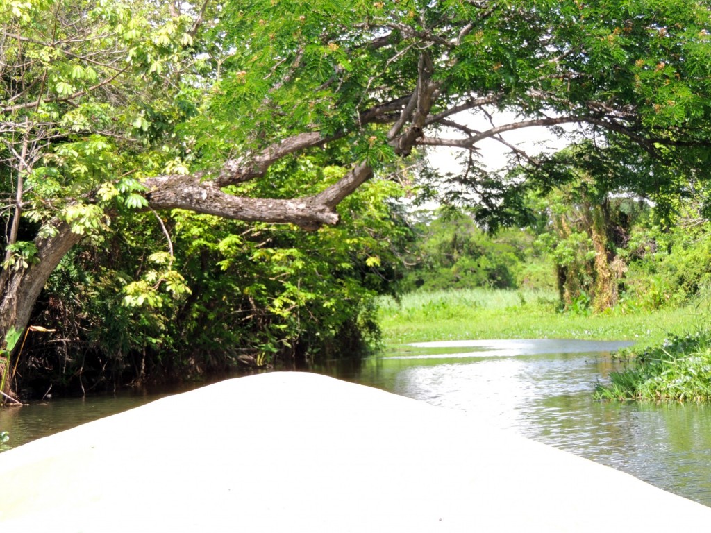 Foto: Isletas de Granada - Granada, Nicaragua