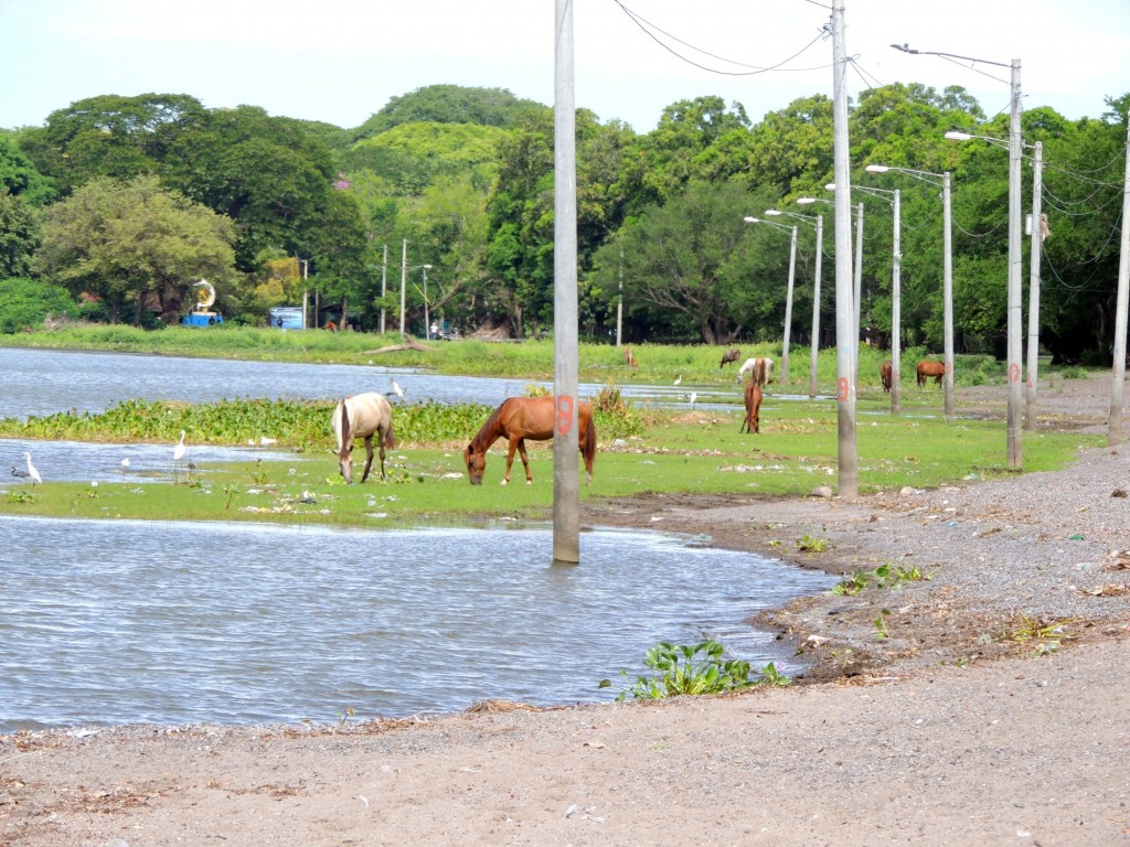 Foto: Isletas de Granada - Granada, Nicaragua