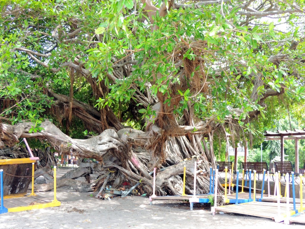Foto: Isletas de Granada - Granada, Nicaragua