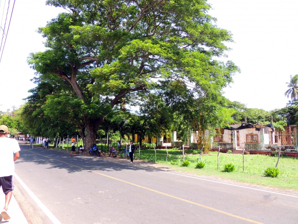 Foto: Isletas de Granada - Granada, Nicaragua