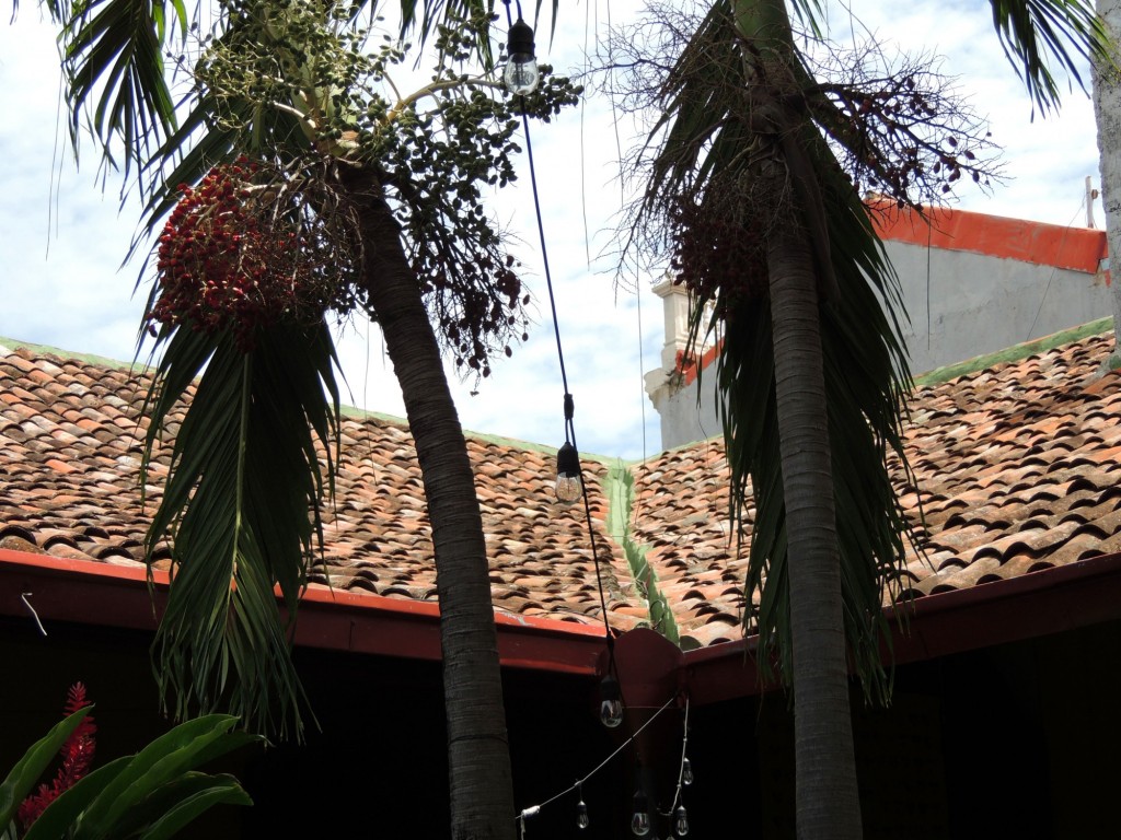 Foto: Café de las Sonrisas - Granada, Nicaragua