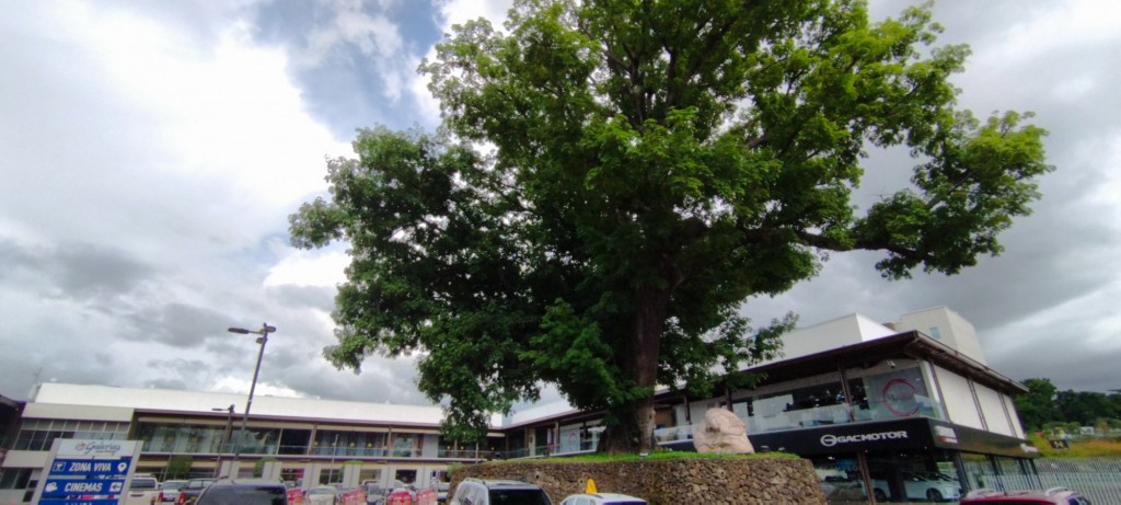 Foto: Galerías Santo Domingo - Managua, Nicaragua