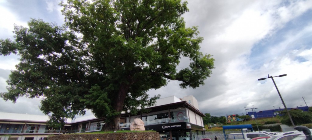 Foto: Galerías Santo Domingo - Managua, Nicaragua