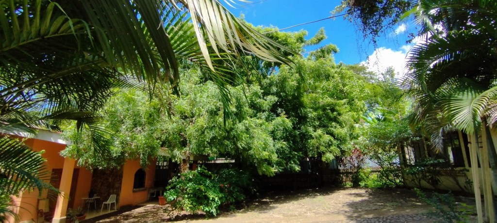 Foto: Casa Inti Guesthouse - Managua, Nicaragua