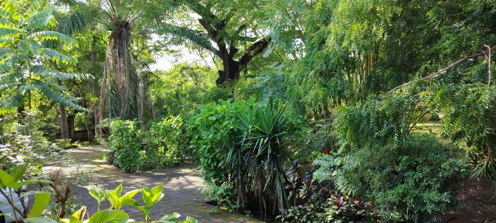 Foto: Casa Inti Guesthouse - Managua, Nicaragua