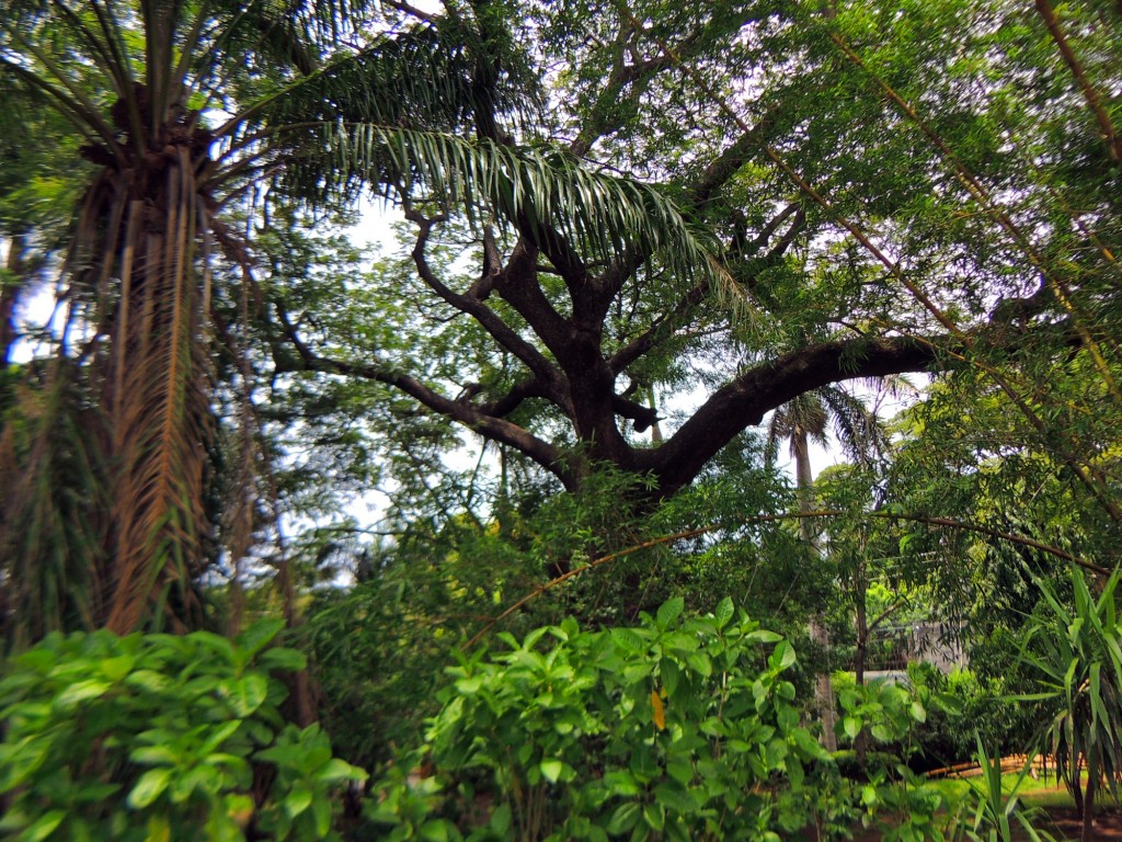 Foto: Casa Inti Guesthouse - Managua, Nicaragua