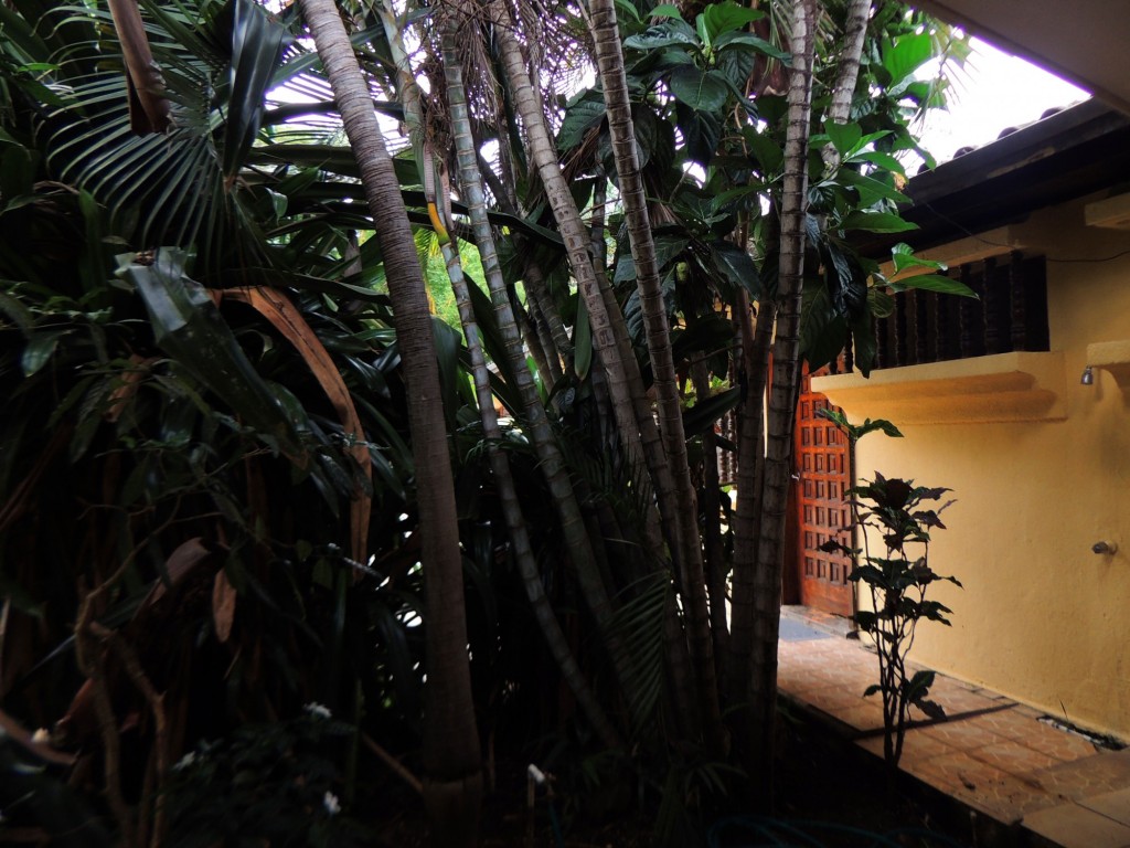 Foto: Casa Inti Guesthouse - Managua, Nicaragua