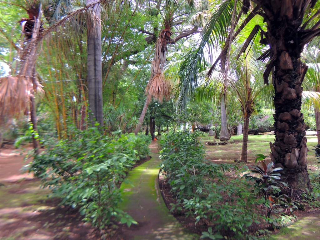 Foto: Casa Inti Guesthouse - Managua, Nicaragua