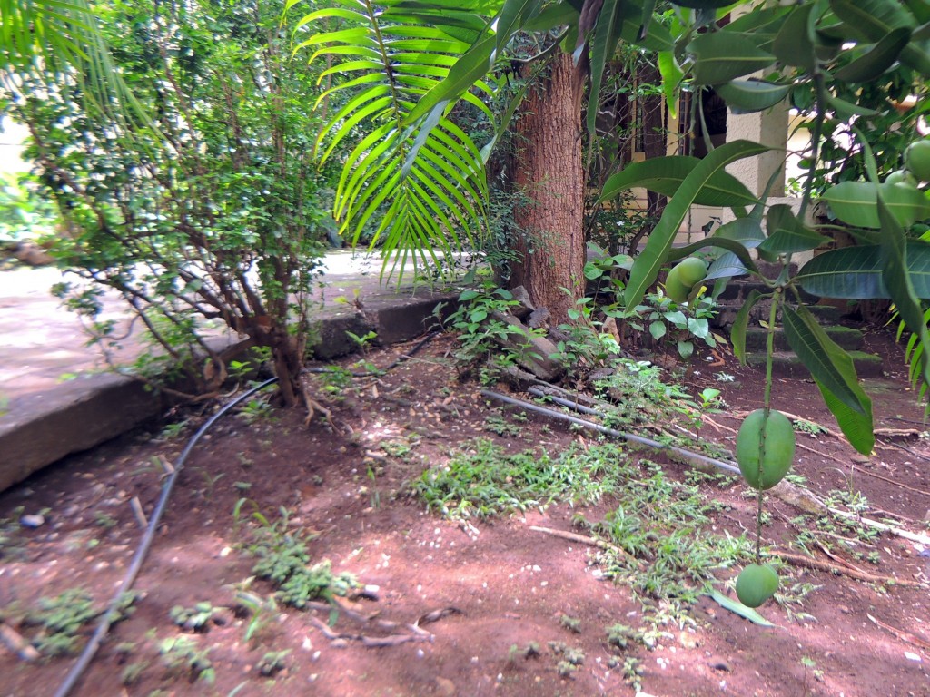 Foto: Casa Inti Guesthouse - Managua, Nicaragua