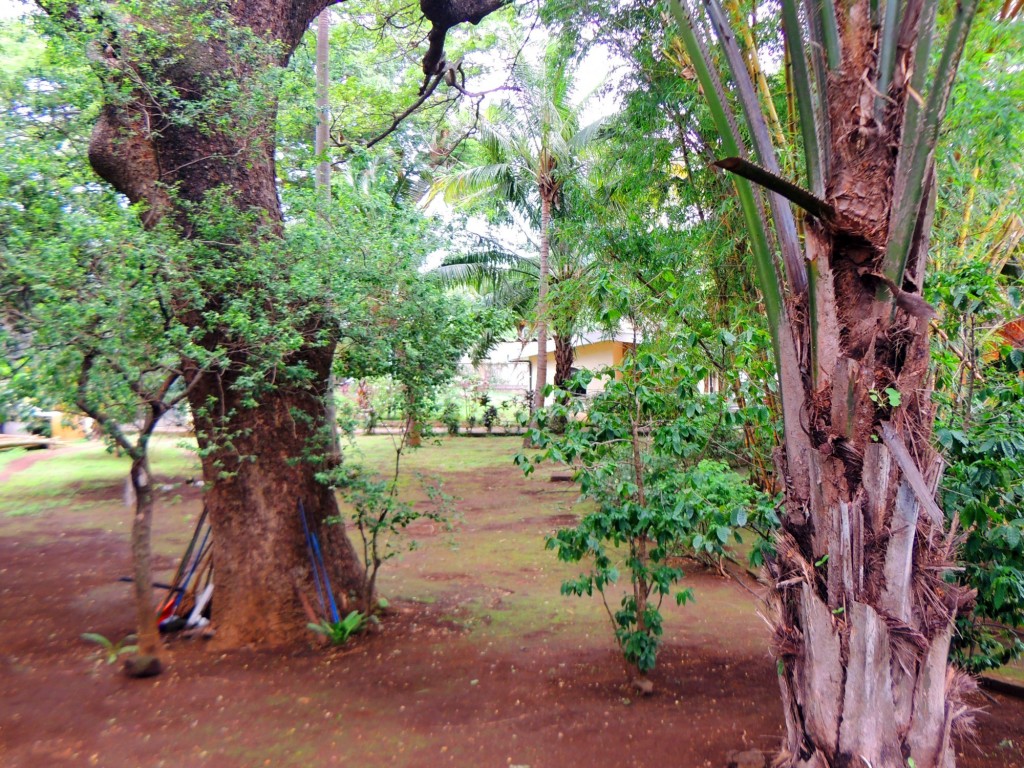 Foto: Casa Inti Guesthouse - Managua, Nicaragua