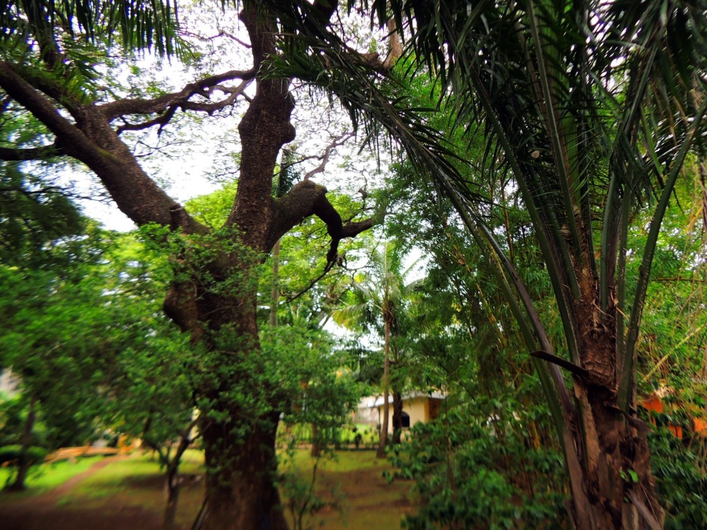 Foto: Casa Inti Guesthouse - Managua, Nicaragua