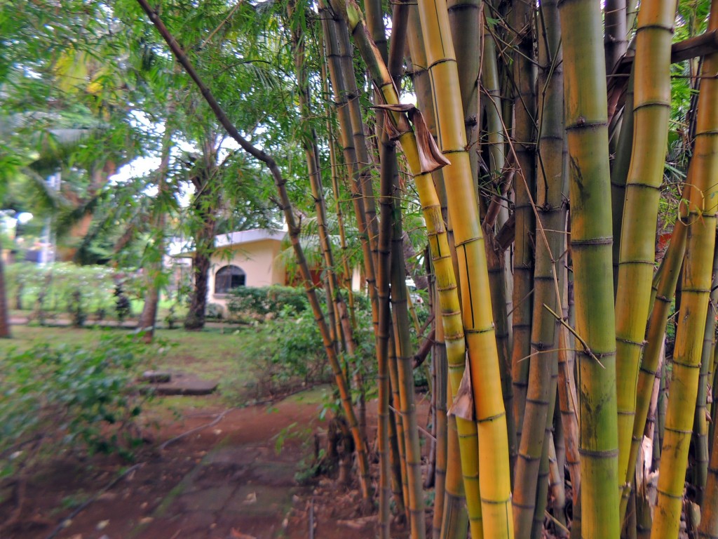 Foto: Casa Inti Guesthouse - Managua, Nicaragua