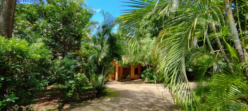 Foto: Casa Inti Guesthouse - Managua, Nicaragua