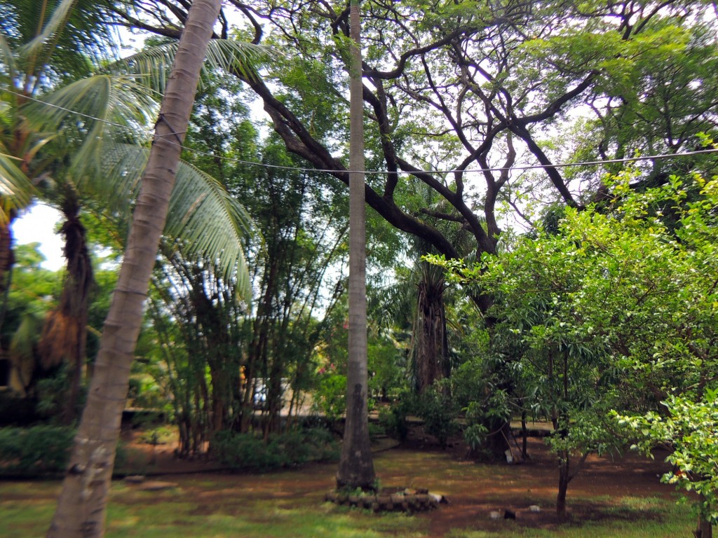 Foto: Casa Inti Guesthouse - Managua, Nicaragua