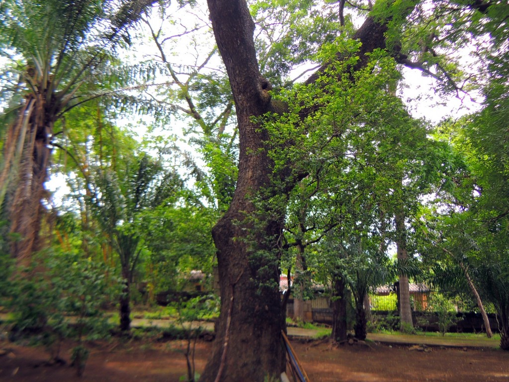 Foto: Casa Inti Guesthouse - Managua, Nicaragua