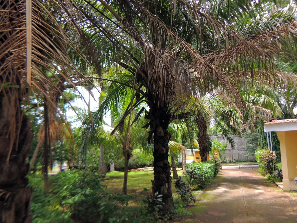 Foto: Casa Inti Guesthouse - Managua, Nicaragua
