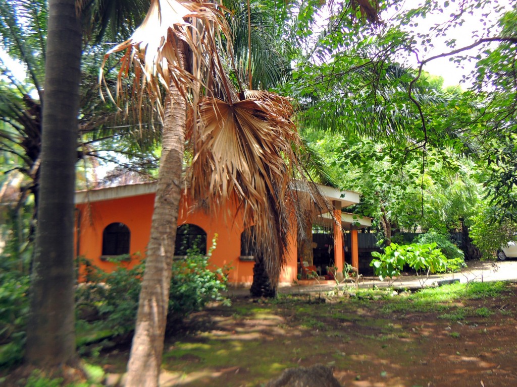Foto: Casa Inti Guesthouse - Managua, Nicaragua