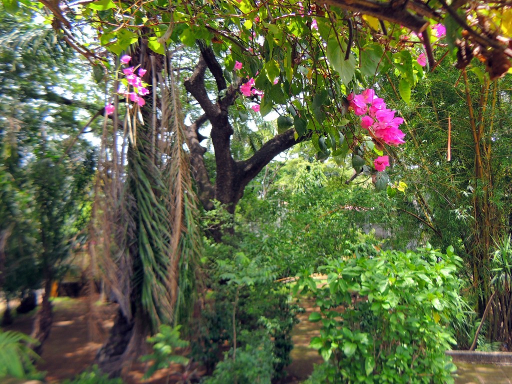 Foto: Casa Inti Guesthouse - Managua, Nicaragua