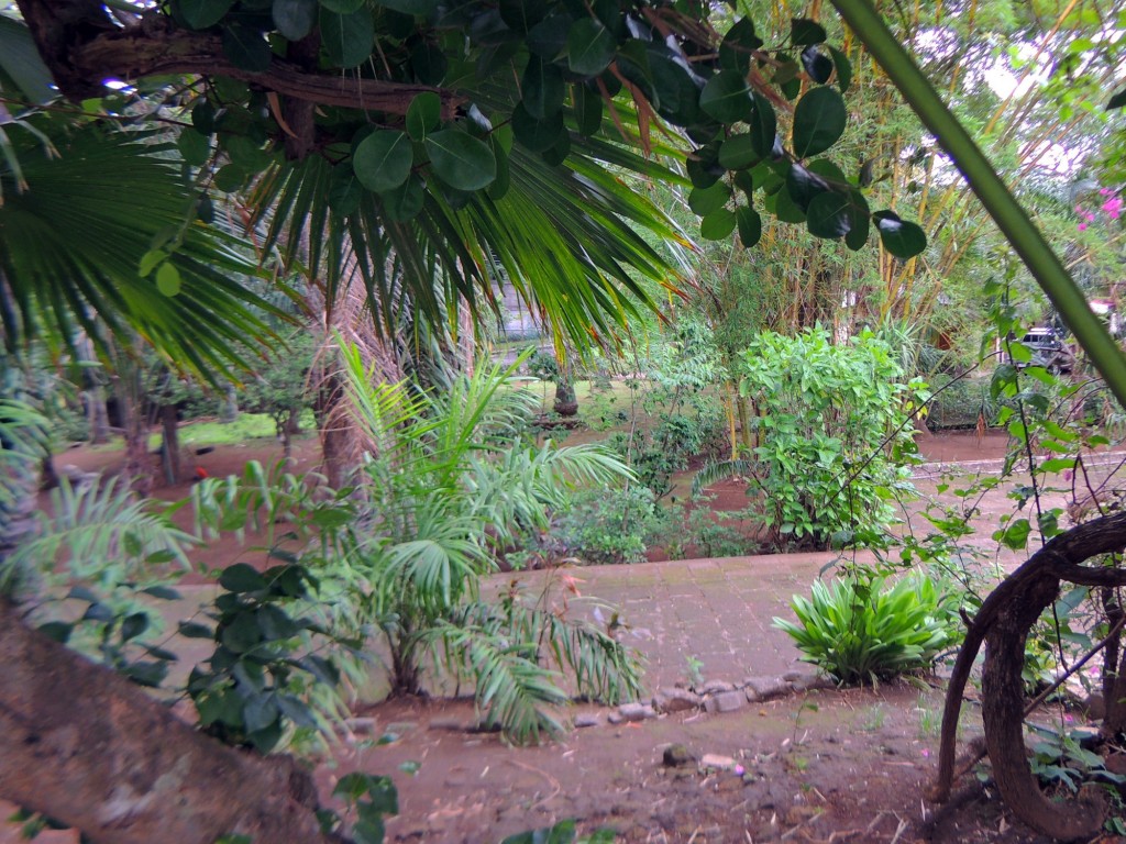 Foto: Casa Inti Guesthouse - Managua, Nicaragua