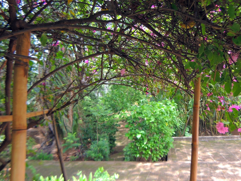 Foto: Casa Inti Guesthouse - Managua, Nicaragua