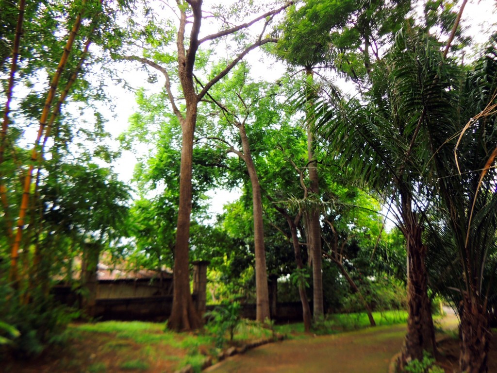 Foto: Casa Inti Guesthouse - Managua, Nicaragua