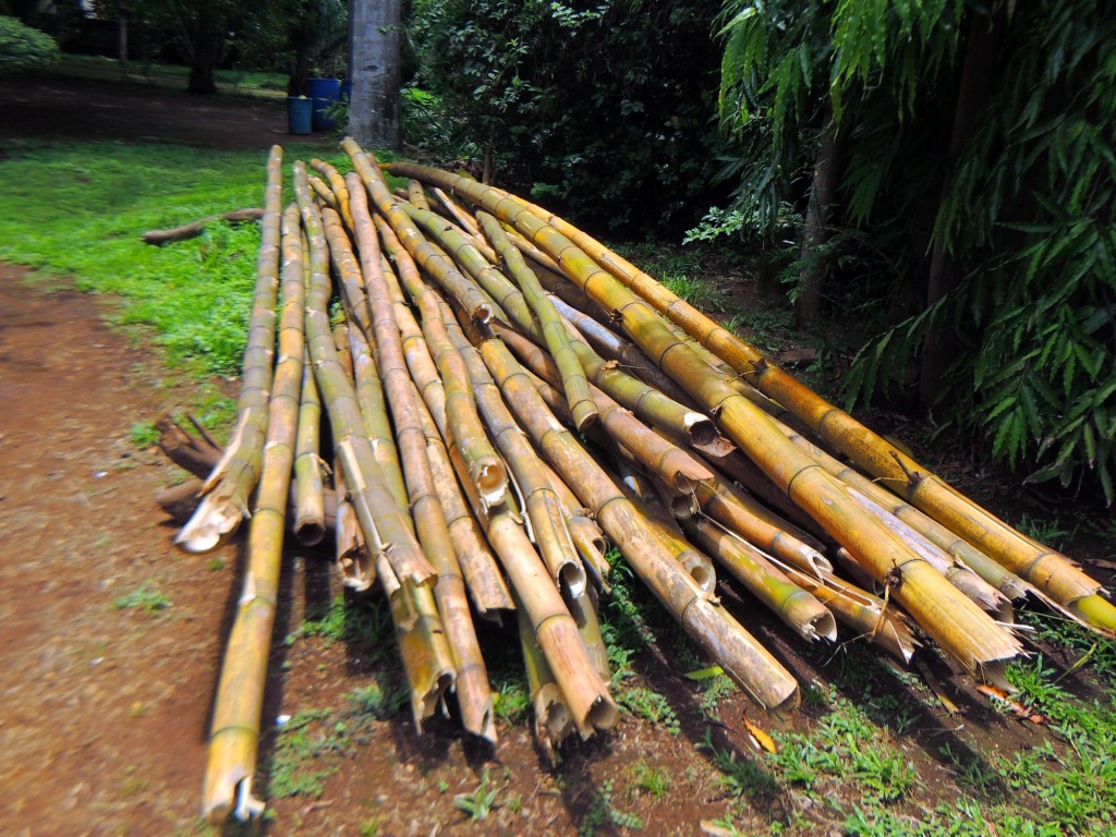 Foto: Casa Inti Guesthouse - Managua, Nicaragua