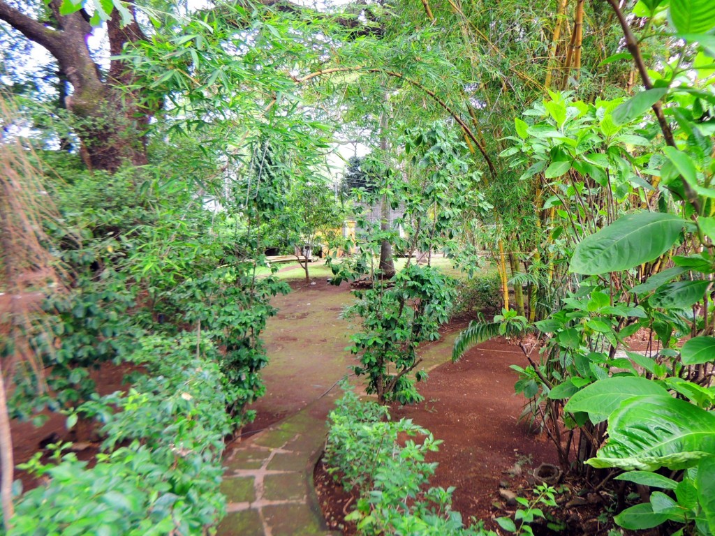 Foto: Casa Inti Guesthouse - Managua, Nicaragua