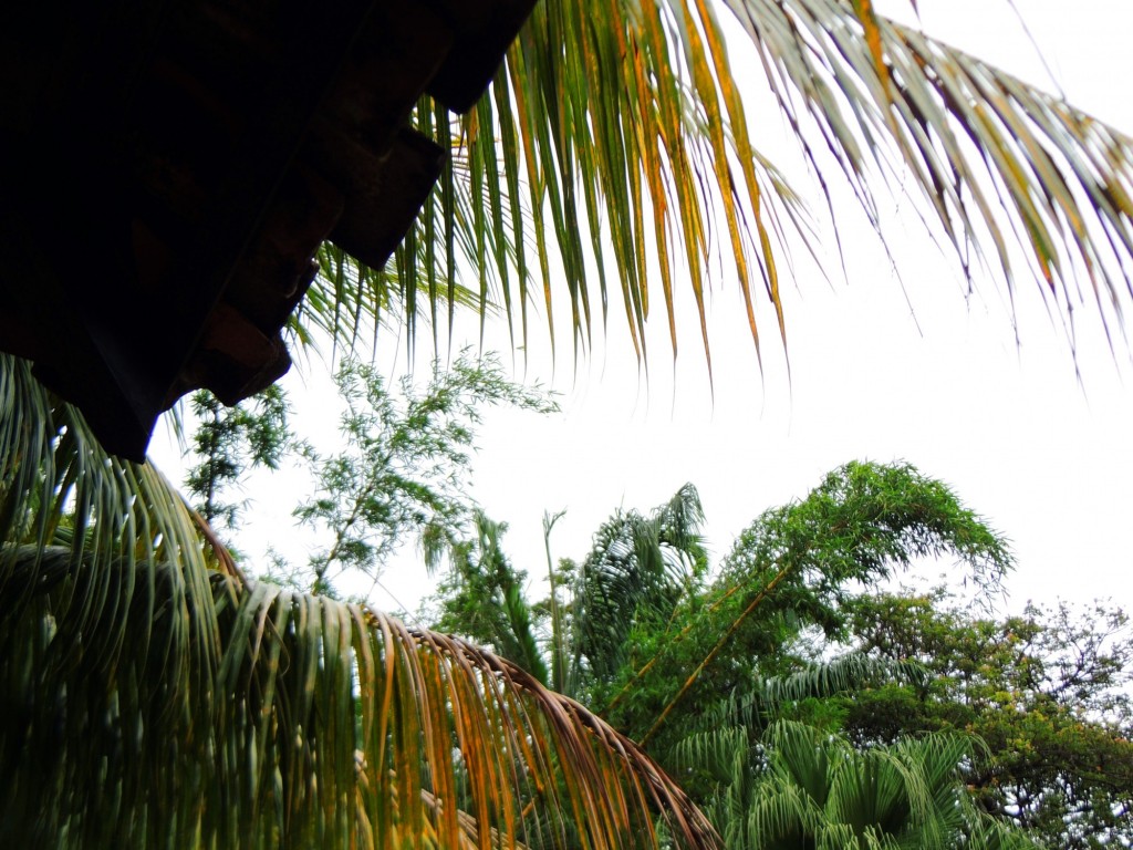 Foto: Casa Inti Guesthouse - Managua, Nicaragua