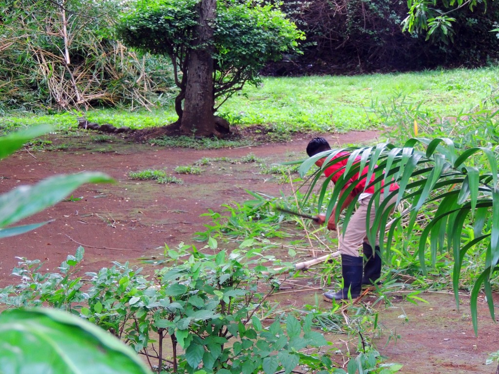 Foto: Casa Inti Guesthouse - Managua, Nicaragua