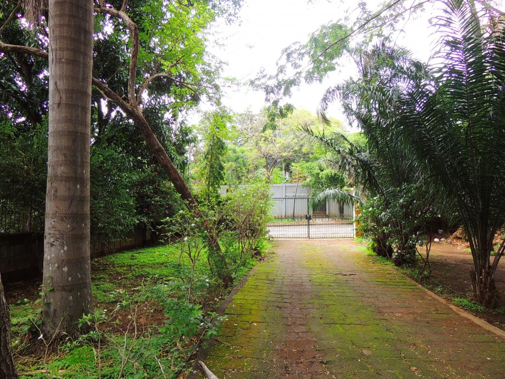 Foto: Casa Inti Guesthouse - Managua, Nicaragua