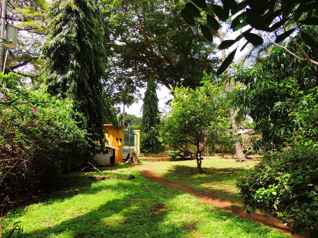 Foto: Casa Inti Guesthouse - Managua, Nicaragua