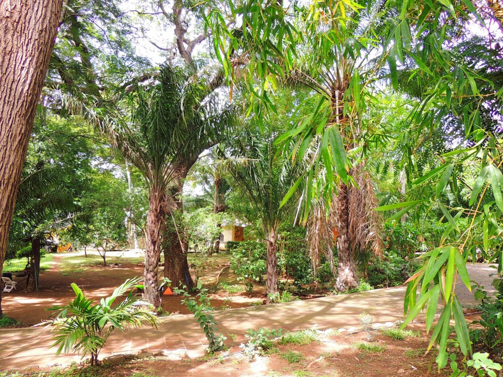 Foto: Casa Inti Guesthouse - Managua, Nicaragua