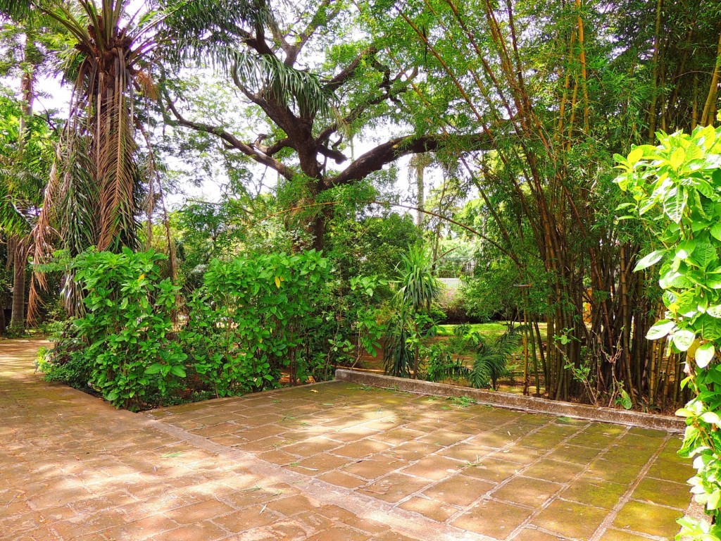 Foto: Casa Inti Guesthouse - Managua, Nicaragua