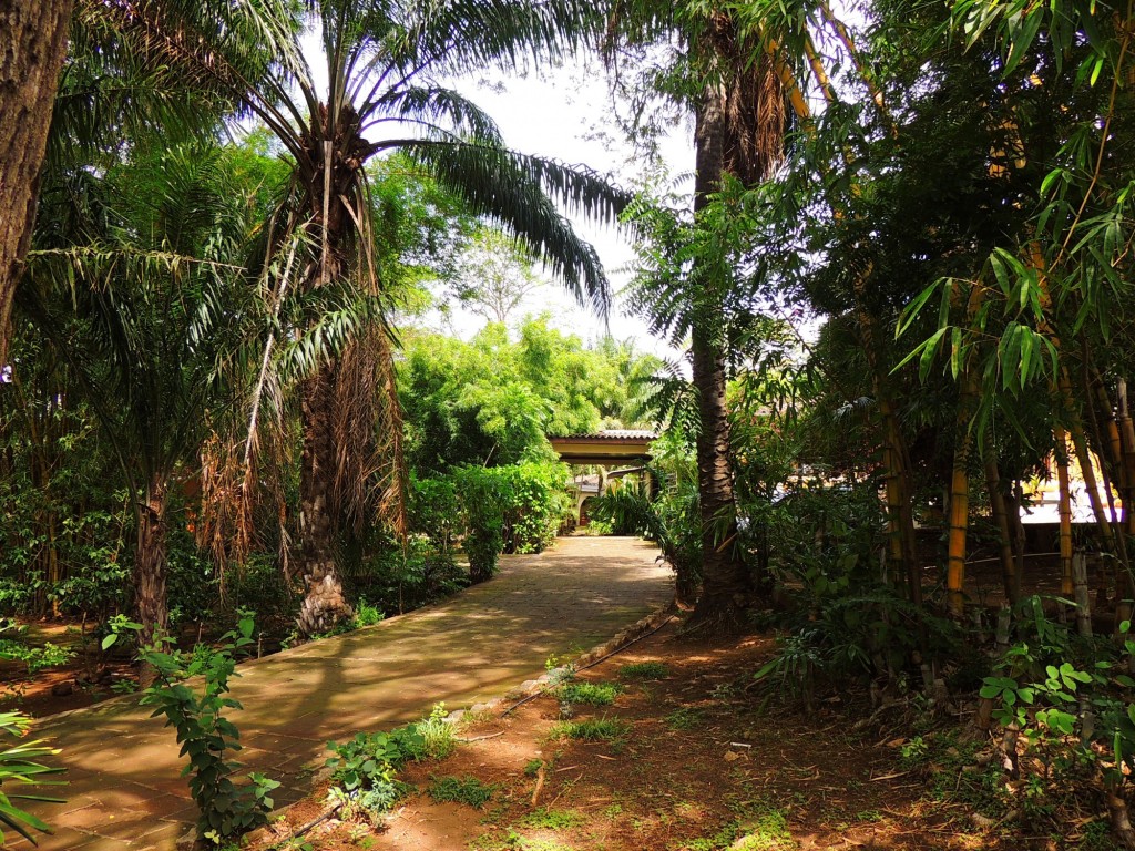 Foto: Casa Inti Guesthouse - Managua, Nicaragua