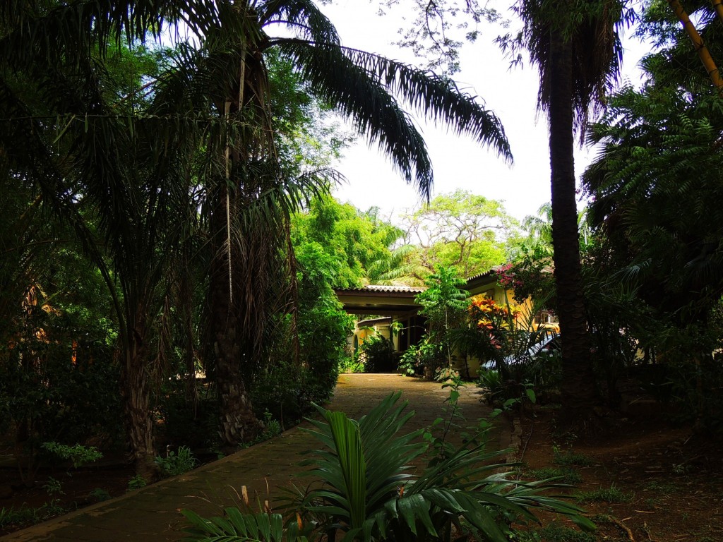 Foto: Casa Inti Guesthouse - Managua, Nicaragua