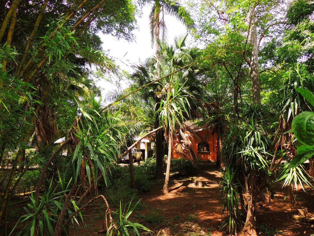 Foto: Casa Inti Guesthouse - Managua, Nicaragua