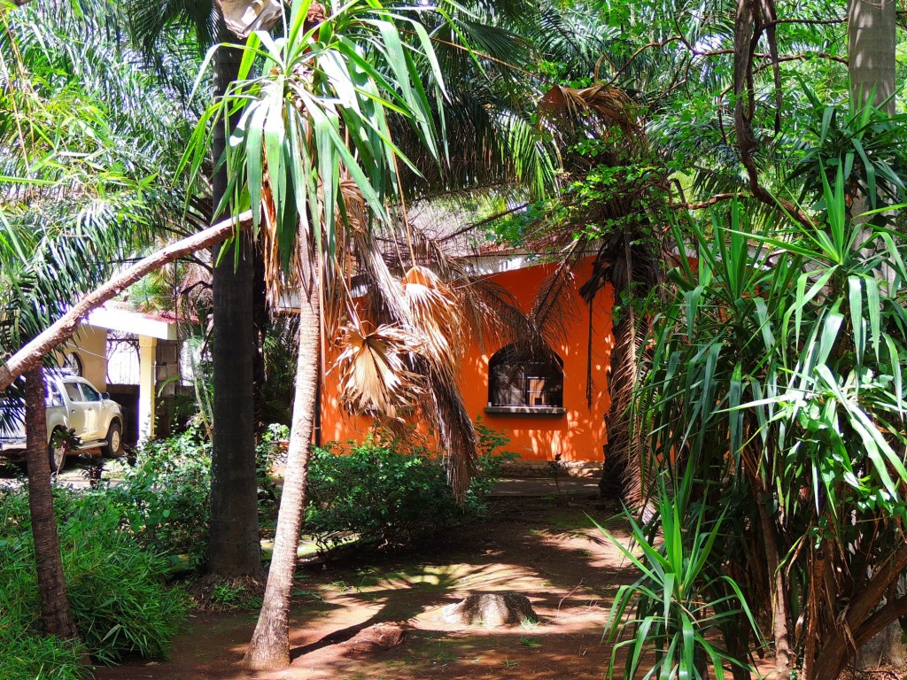 Foto: Casa Inti Guesthouse - Managua, Nicaragua