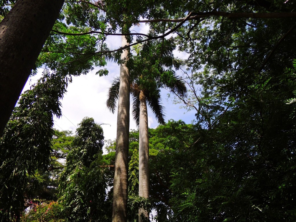 Foto: Casa Inti Guesthouse - Managua, Nicaragua
