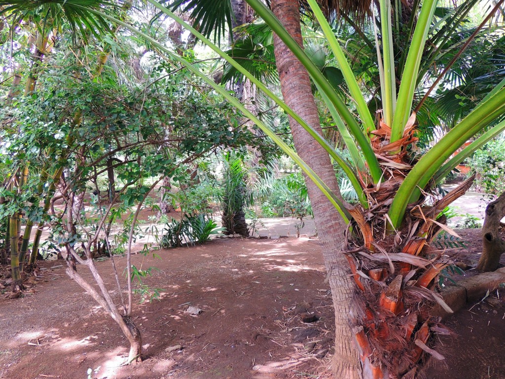 Foto: Casa Inti Guesthouse - Managua, Nicaragua