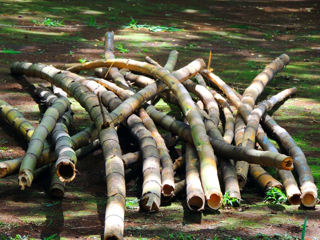 Foto: Casa Inti Guesthouse - Managua, Nicaragua