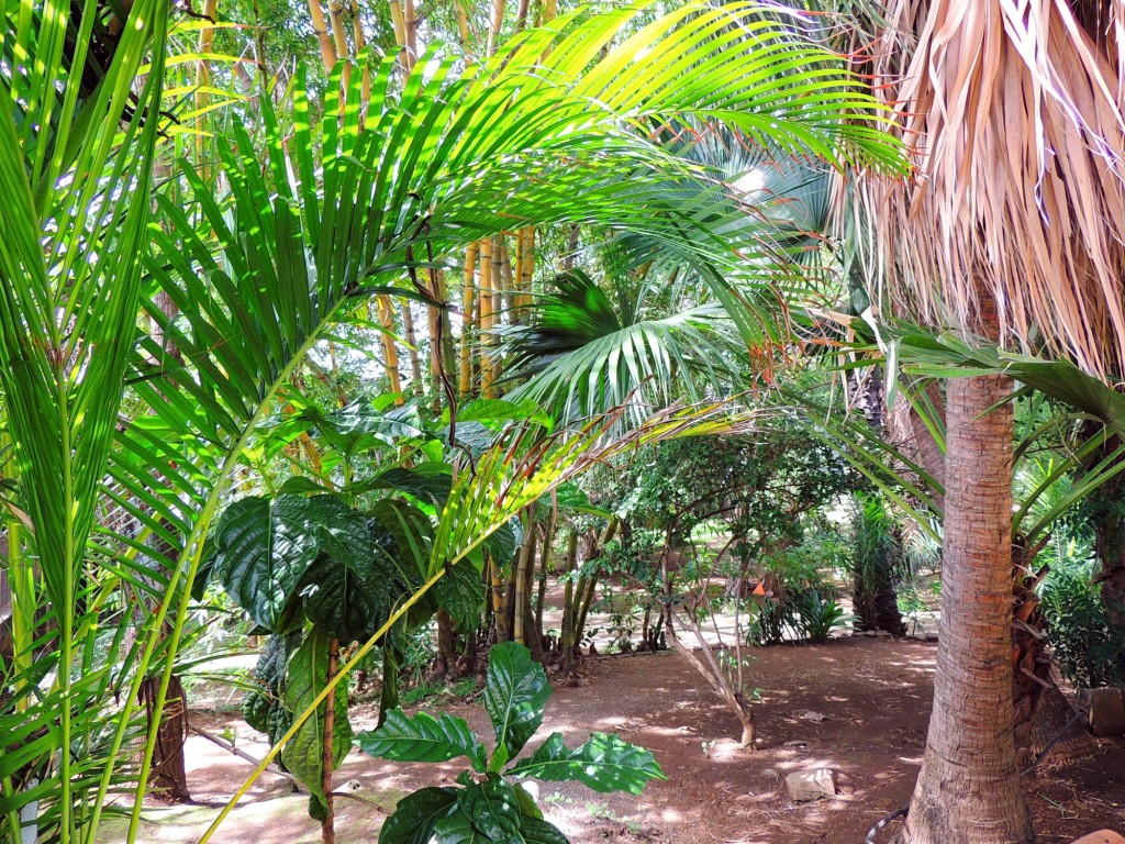 Foto: Casa Inti Guesthouse - Managua, Nicaragua