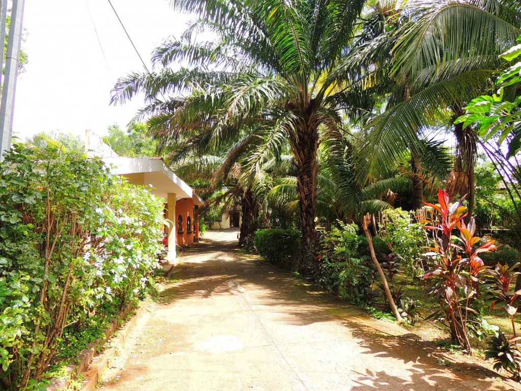 Foto: Casa Inti Guesthouse - Managua, Nicaragua