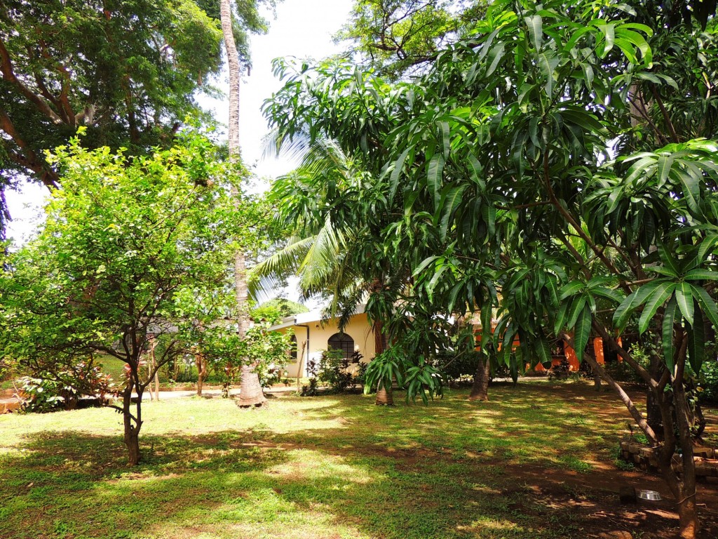 Foto: Casa Inti Guesthouse - Managua, Nicaragua
