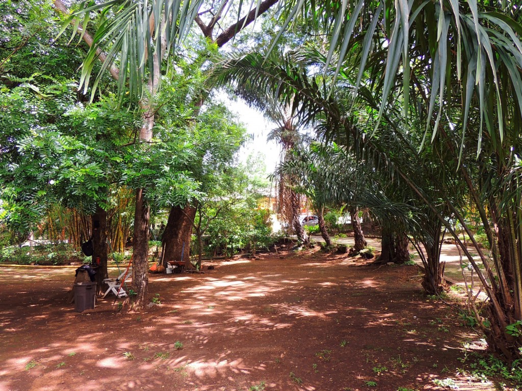 Foto: Casa Inti Guesthouse - Managua, Nicaragua