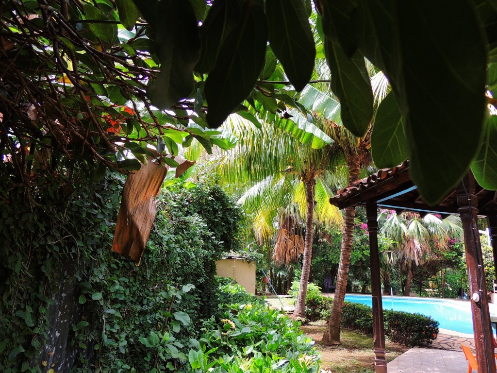 Foto: Casa Inti Guesthouse - Managua, Nicaragua