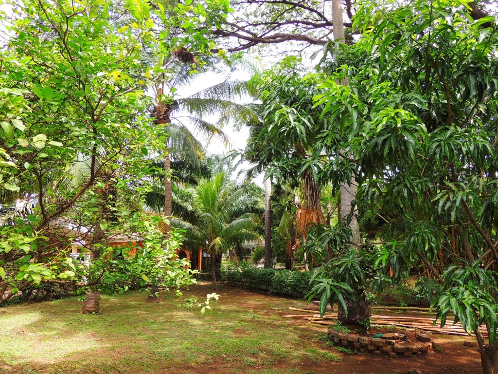 Foto: Casa Inti Guesthouse - Managua, Nicaragua