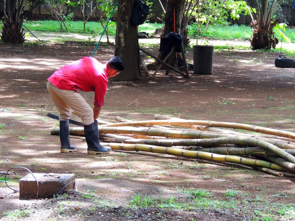 Foto: Casa Inti Guesthouse - Managua, Nicaragua